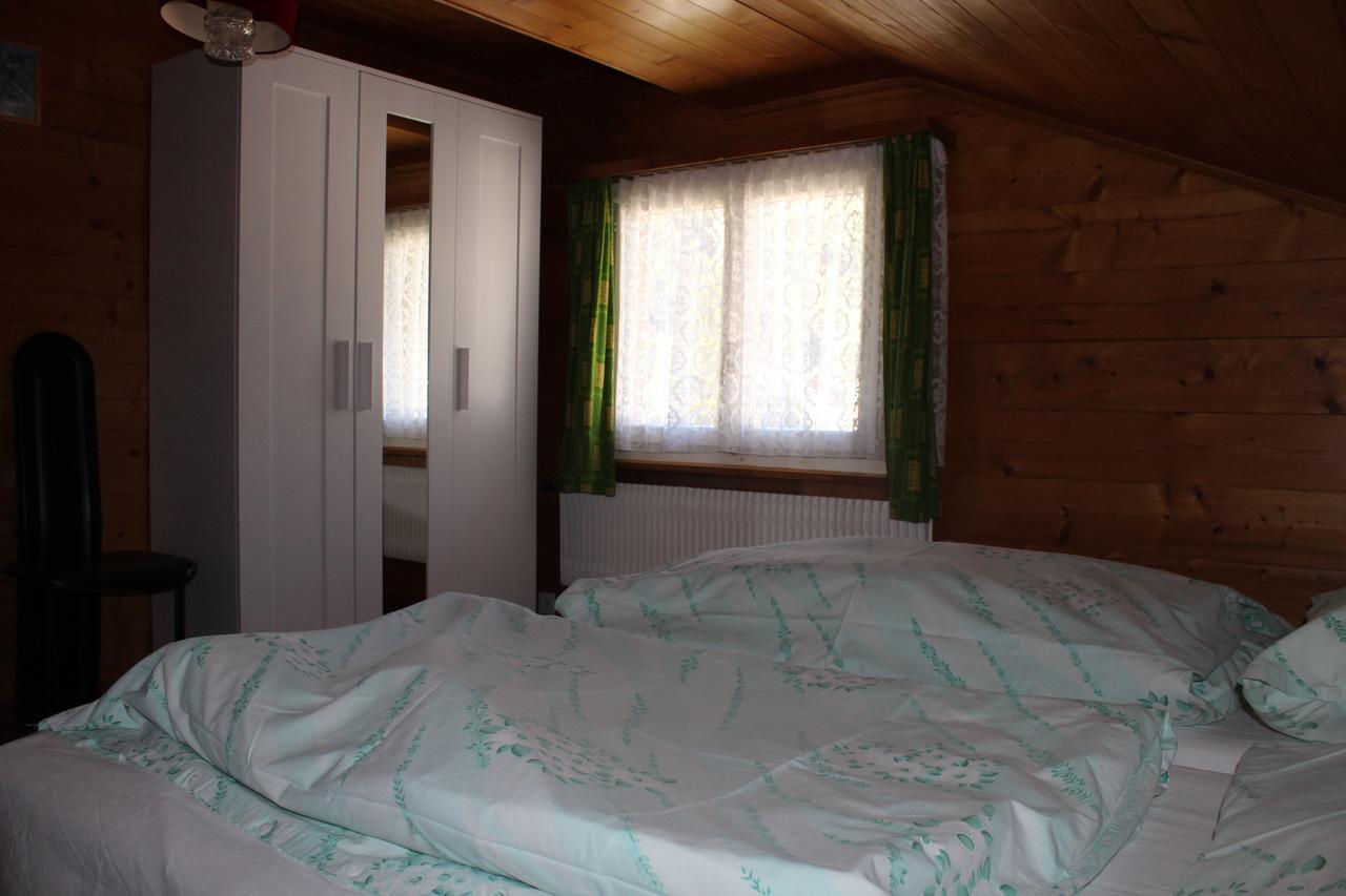 Haus Weideli, Dammstrasse 7 Villa Saas-Grund Ngoại thất bức ảnh